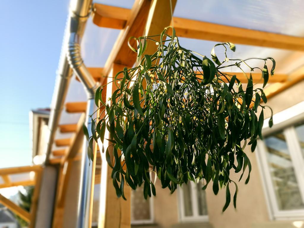 Fagyoengy Apartment Sárvár Exterior foto